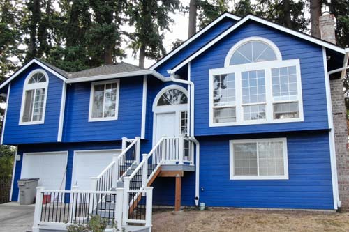 royal blue siding on house.